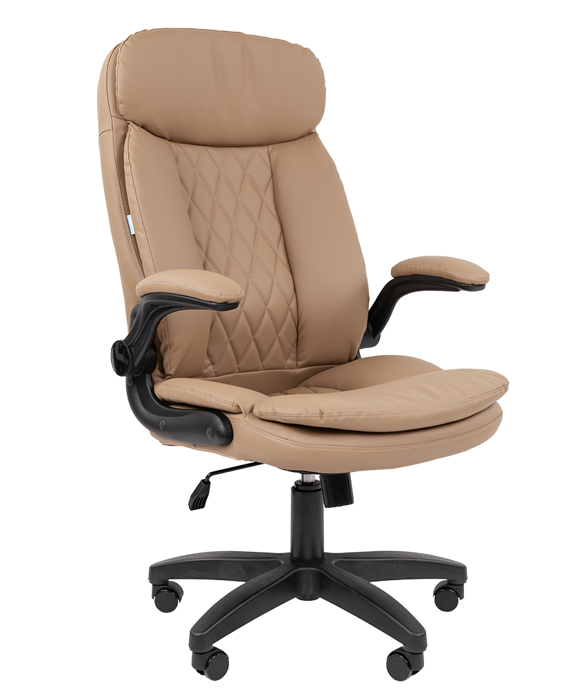  CHAIRMAN 533