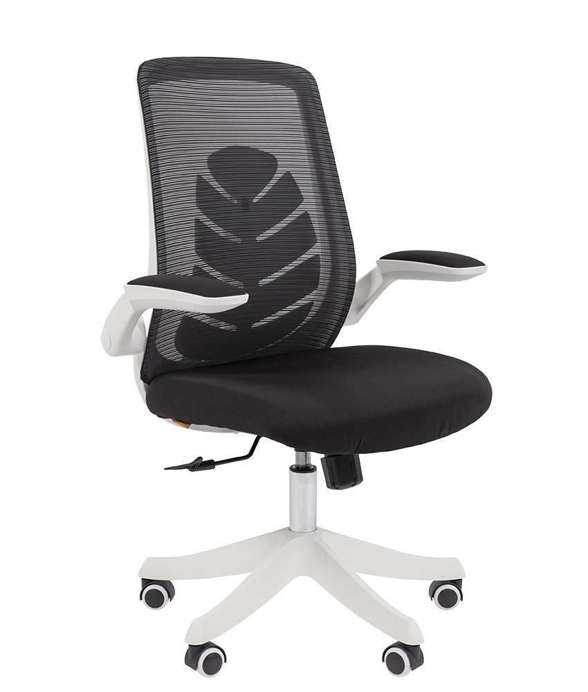  CHAIRMAN CH565