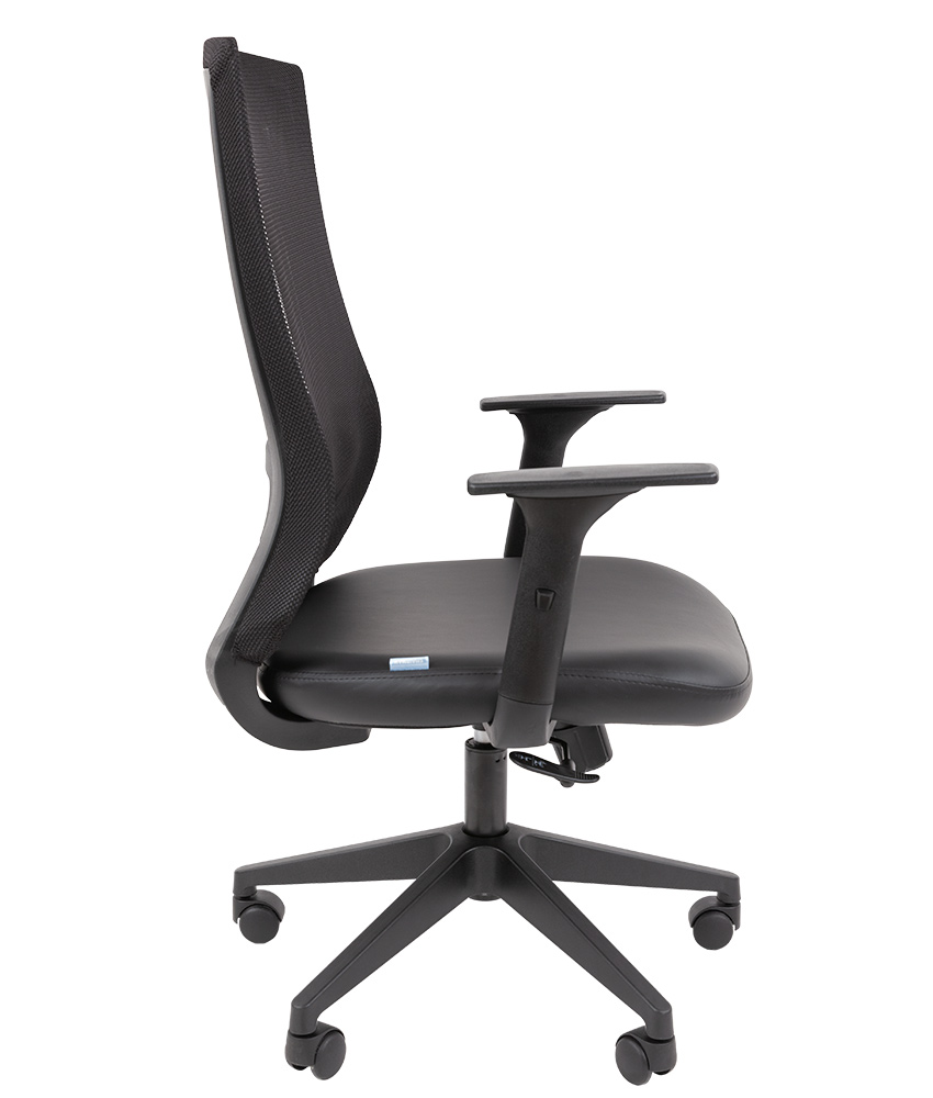 CHAIRMAN 500LT ЭКО БП 3